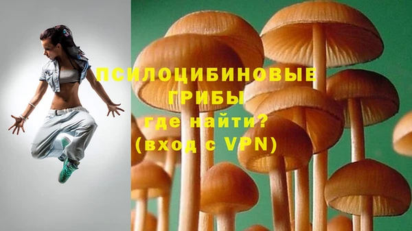 молекула духа Алексин