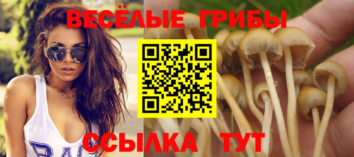 Псилоцибиновые грибы Psilocybine cubensis  Вход с VPN  купить наркотик  Кострома 