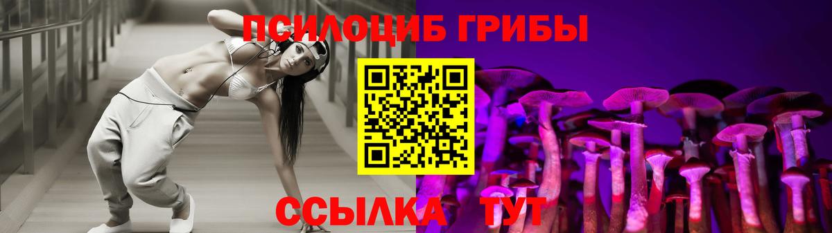 Галлюциногенные грибы прущие грибы Кострома